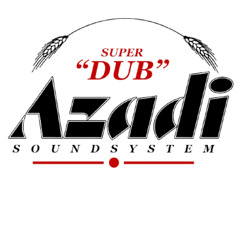 Reggae Dub Vinyl Mix 2024