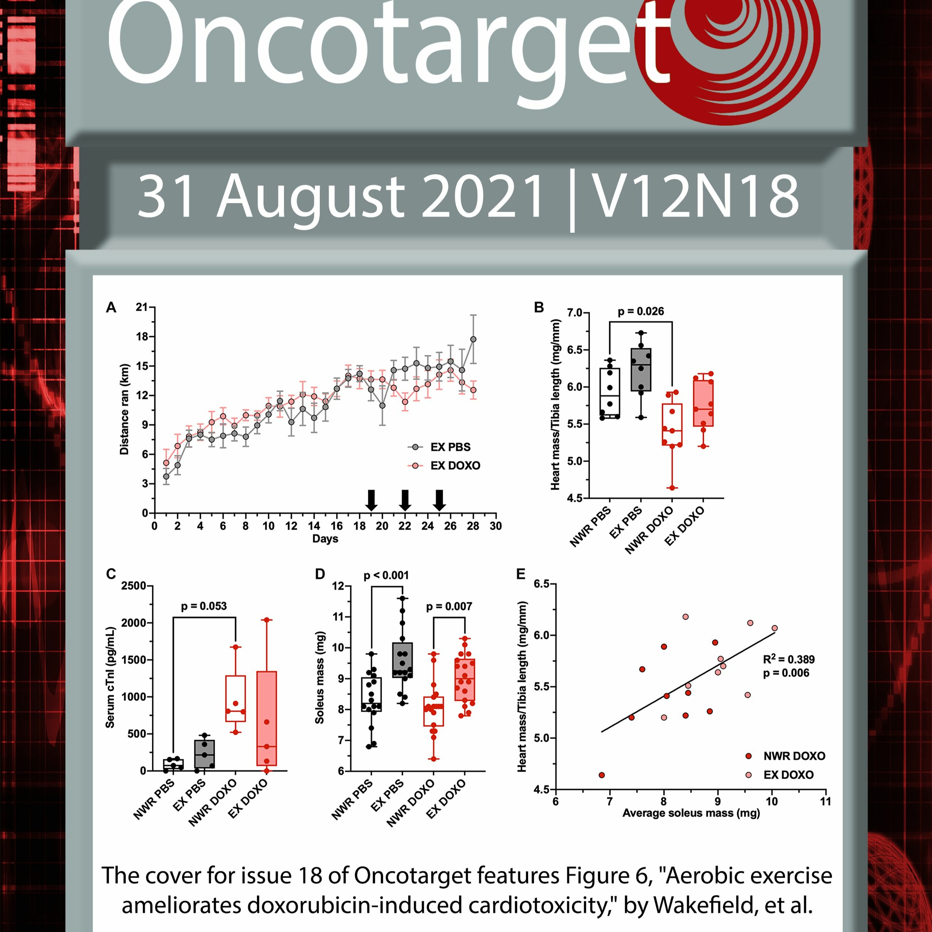 Oncotarget