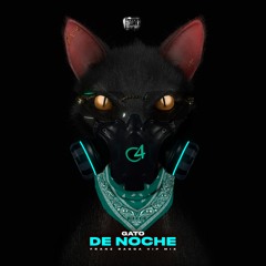 Ñengo Flow x Bad Bunny - Gato de Noche (Franz Ragga VIP Mix)