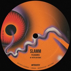 SLAMM - Pleasures (Niteplan Remix) [Pre Order Now]