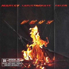 MARLEY X LARISTOCRATE X FALCO - Feux