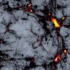 Dark Matters