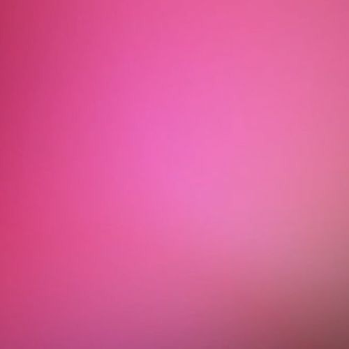 Jackie House - Edeka Etiquette