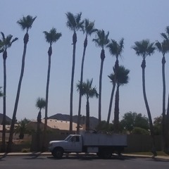 California(feat. Dustin dulcly)