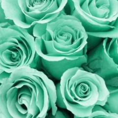 Keybinds- Misty(Casmostatic)...fastcore