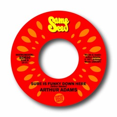 Arthur Adams Sure Is Funky previously unissued funk from 1971