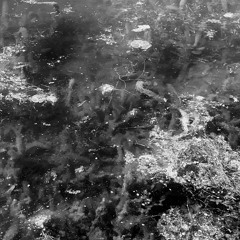 Eternalism (prod. Astray044)