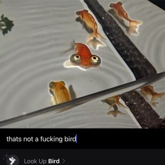 i guess it never mattered (sped up)