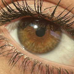 Why You Go Around (prod. Fly Melodies & Quade Rose)