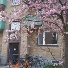 8. FRIMESTERVEJ - Lyserøde blomster og gule mursten