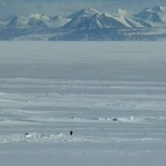 L'Amour toujours by Andreas Gärtner (orchestral version)