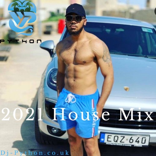 Dj Python - 2021 House Mix (Deep & Soulful House)