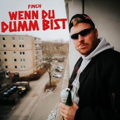 FiNCH - WENN DU DUMM BiST