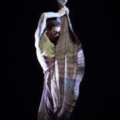 Lux Umbra, 4th Picture