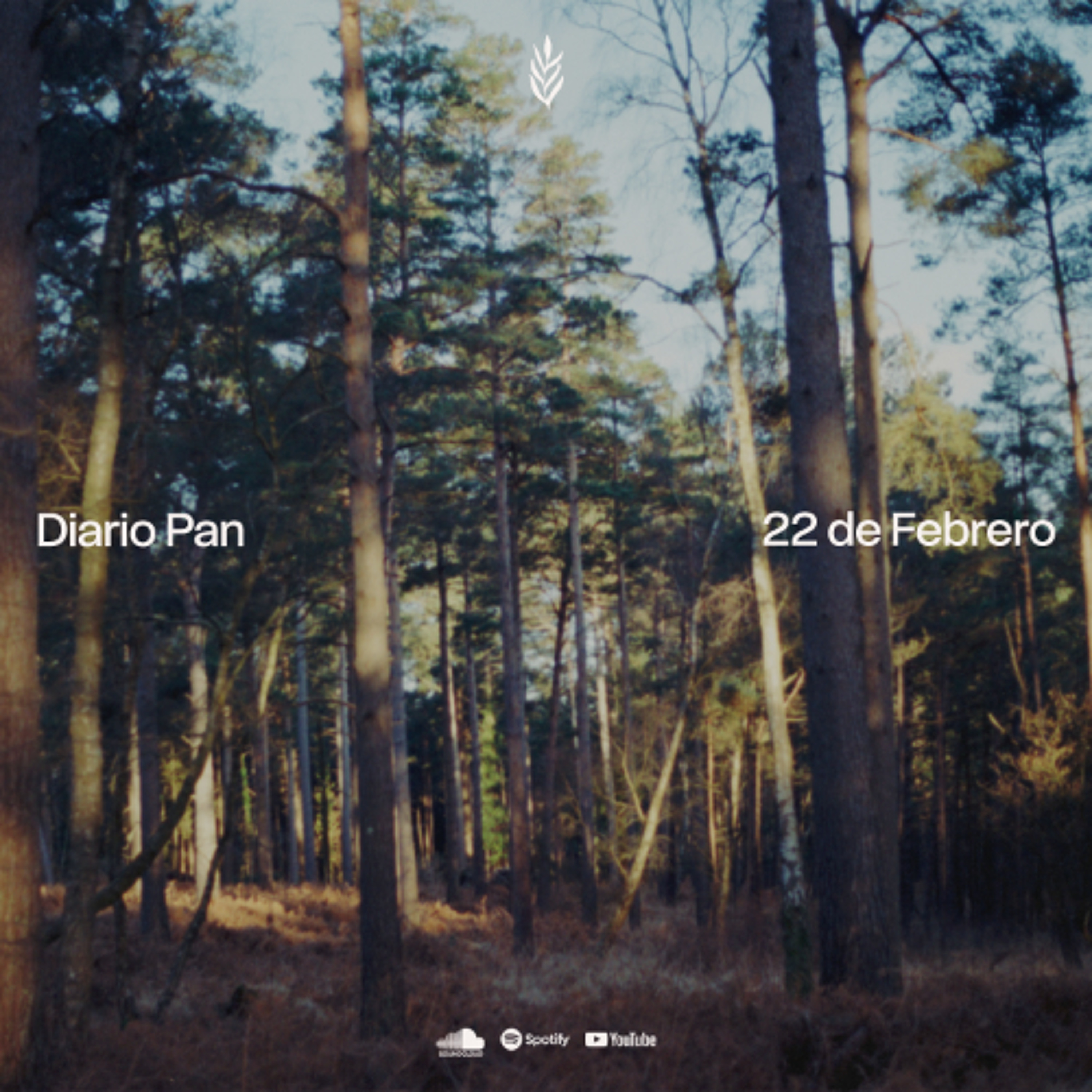 Devocional Diario Pan 22 de Febrero #DiarioPan