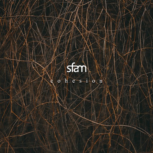 cohesion