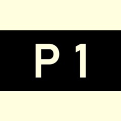 P1 Aim3