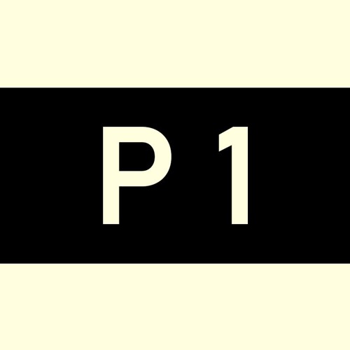 P1 Aim1