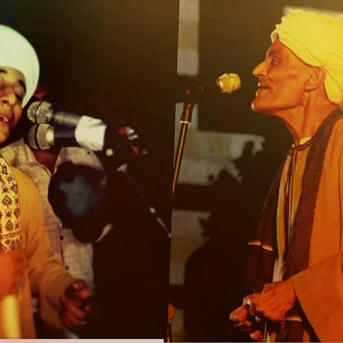 هلْ نارُ ليلى بَدت ليلاً بِذي سَلَمِ- الشيخ أحمد التوني