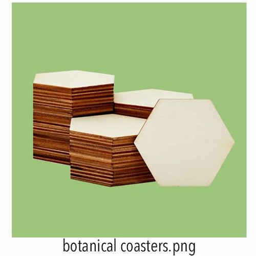 Botanical Coasters