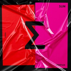 Various Artists - SUM 13 (snippets)