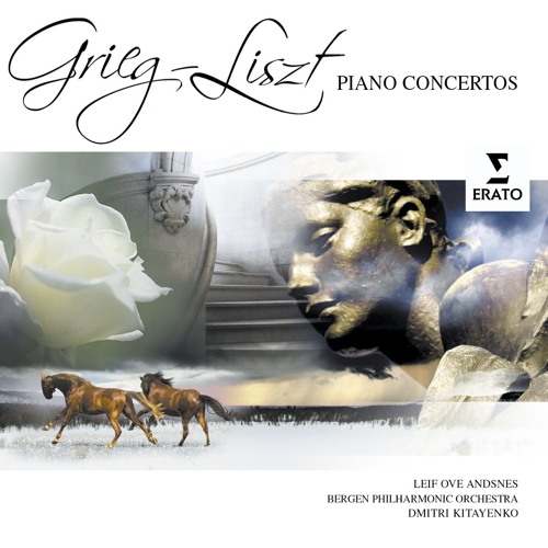 Piano Concerto in A Minor, Op. 16: I. Allegro molto moderato