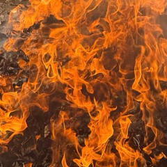 SHE (prod.𝑮𝑬𝑳𝑶ガザ)