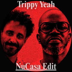 Jimi Jules & Black Coffee - Trippy Yeah (NuCasa Edit)[Free DL]
