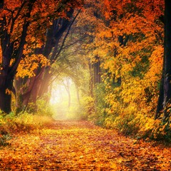 Lullaby Of Fallen Leaves