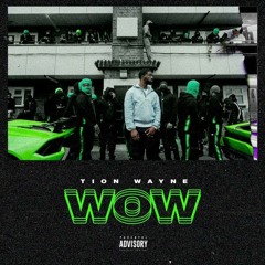 Tion Wayne - Wow (TRIKESK Bootleg)