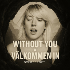 Avicii x Veronica Maggio (Svedberget Mashup)