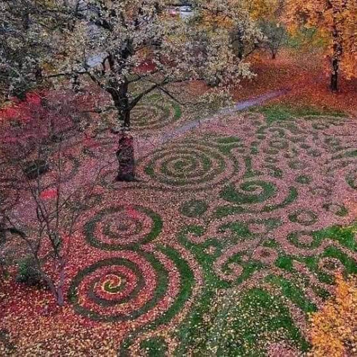 PsyTech* short-set 06.11.25