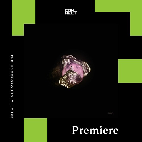 PREMIERE: Naeiiv - Incorrect Shapes (Several Definitions Remix) [Recits de Mars]