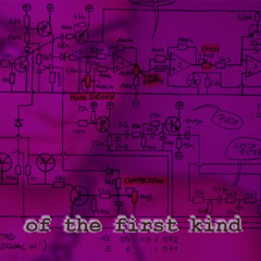of the first kind