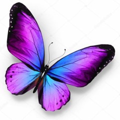 Voz da Verdade - Borboleta de Deus