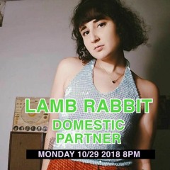 FREEFORM vinyl mix for Domestic Partner on WFMU