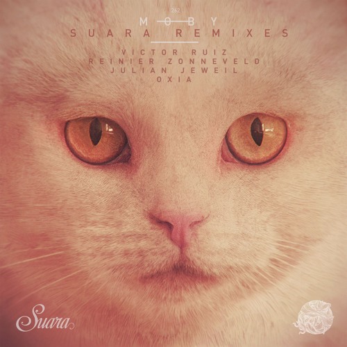 Go (Victor Ruiz Remix)