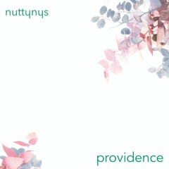 Nutty Nys - Providence
