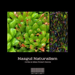 BCCO Premiere: Nazgul Naturalism - Extraterrestrial Tool (Kribs & Miles Pinkert Remix)