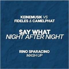 Keinemusik x Fideles & Camelphat - Say What After Night (Rino Sparacino Mash Up) FREE DOWNLOAD
