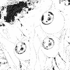 𝙚𝙡𝙡𝙞𝙥𝙨𝙚 𝙢𝙞𝙭 𝙫.2