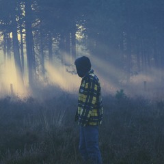 vesta - won't change (prod. tsurreal & nato kitch & aidan han)