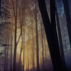 One Arose (Restoration Mix)