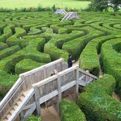 MAZE!!