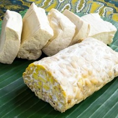 tahu tempe - EFTTSU
