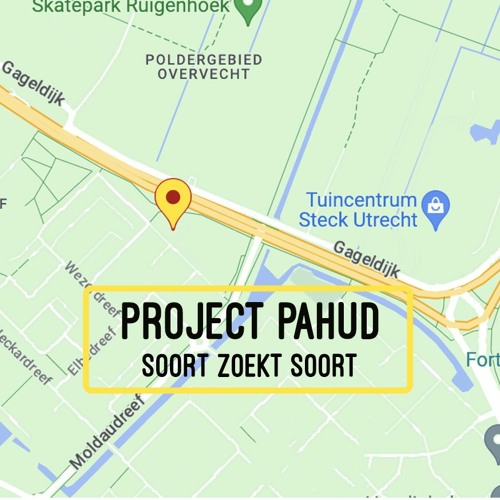 Project Pahud Aflevering 3: Soort zoek soort