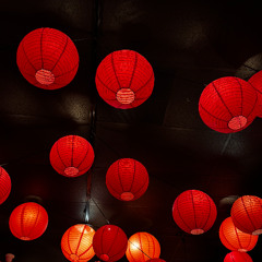 LET ME DECIDE FREESTYLE