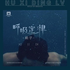 呼吸定律—耗子｜Định luật hô hấp—Háo Tử