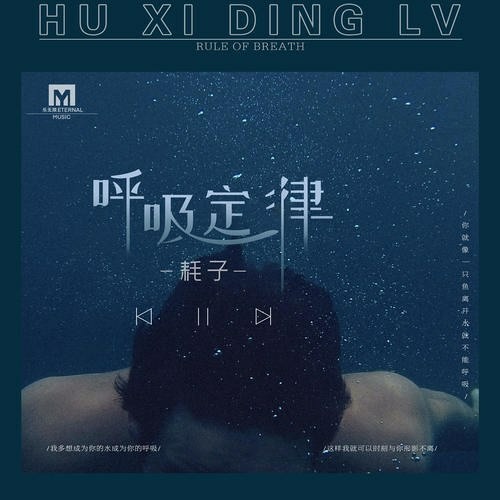 呼吸定律—耗子｜Định luật hô hấp—Háo Tử
