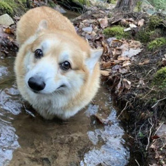 ohsxnta+osamason - stupid bitch